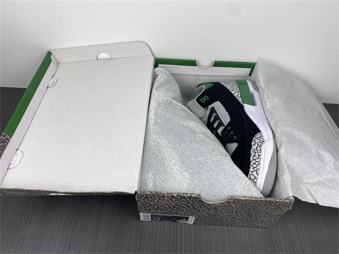 SunProtective Jordan3 Pine Green CT8532- 3838