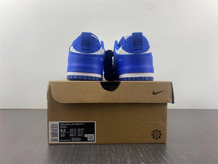 Functional Nike Dunk Low Disrupt 2 White University Blue DH4402- 4762