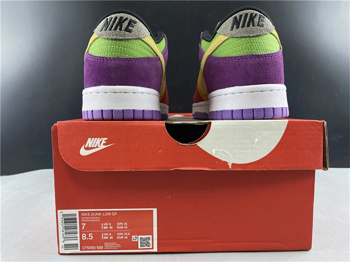 Nike Dunk Low Viotech CT5050- FastDry 4893